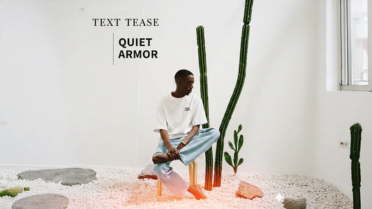 Introvert T Shirt, Quiet Armor, Zero Small Talk Blog