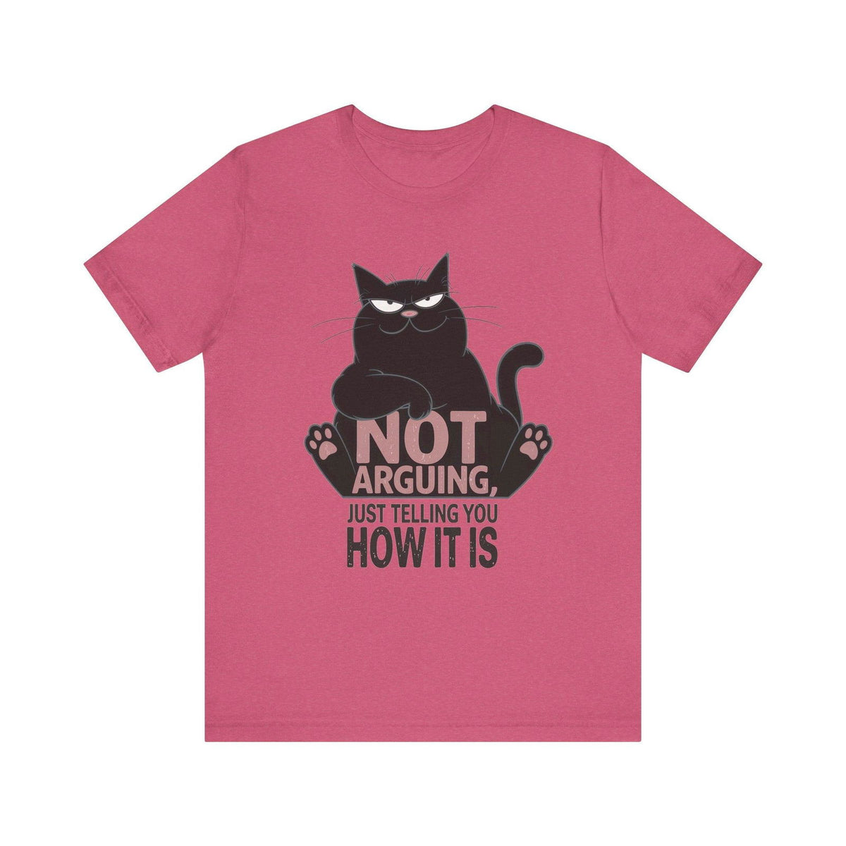 Not Arguing sarcastic black cat graphic T-shirt product mockup