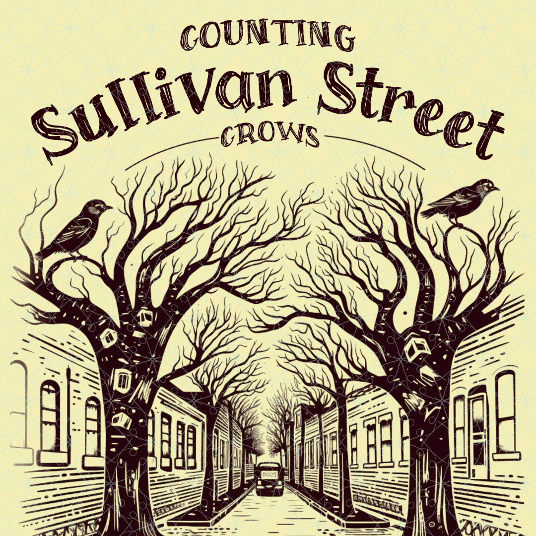 Counting Crows Shirt - Sullivan Street T shirt - Text Tease